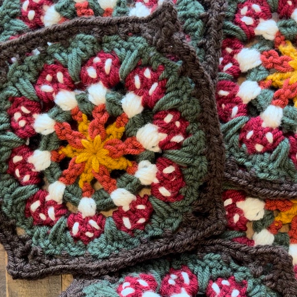 Mushroom Fairy Ring Granny Square Crochet Pattern - PDF Instructions