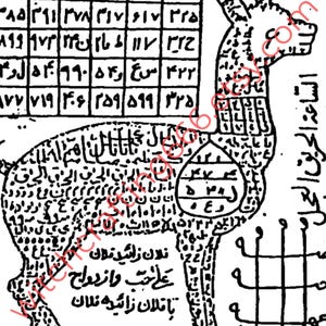 Puede incluir: Una imagen en blanco y negro de un diagrama con texto y números árabes. El diagrama es de una cabra con un patrón de cuadrícula en su cuerpo. El texto incluye las palabras "فلان زائید فلان" y "على حب و ازدواج".