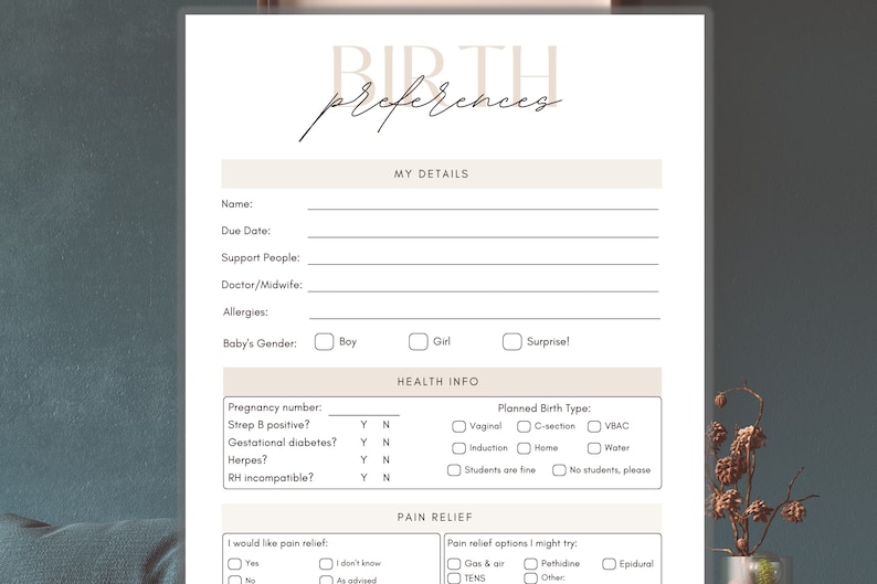 May include: A printable birth preferences checklist with sections for personal details, health information, planned birth type, and pain relief options. The checklist includes checkboxes for various preferences, such as vaginal birth, C-section, VBAC, induction, home birth, water birth, and pain relief options like gas and air, pethidine, and epidural.