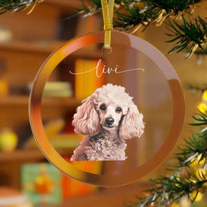 May include: A round glass ornament with a white poodle dog illustration and the name "Livi" written in cursive script.