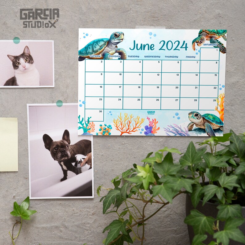EDITABLE June 2024 Calendar, Fillable Summer Planner, Monthly Schedule