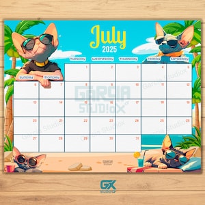 EDITABLE July 2025 Calendar, Cute Summer Cat, Printable July Calendar, School Calendar, Monthly Calendar, July Planner, Fillable Calendar