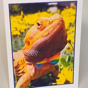 May include: A bearded dragon wearing a rainbow bow tie in a field of yellow flowers.