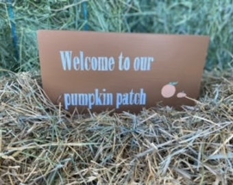 Bienvenue dans notre champ de citrouilles