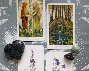 Full 4 Card Love Reading