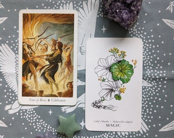 Basic 2 Card Love Reading