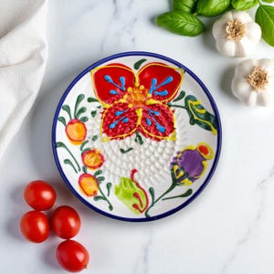 Rallador de ajo de cerámica / Rallador de ajo de cerámica / Rallador de parmesano hecho a mano Rallador de nuez moscada / Herramienta de cocina Esencial para cocinar Regalo para el Día de la Madre