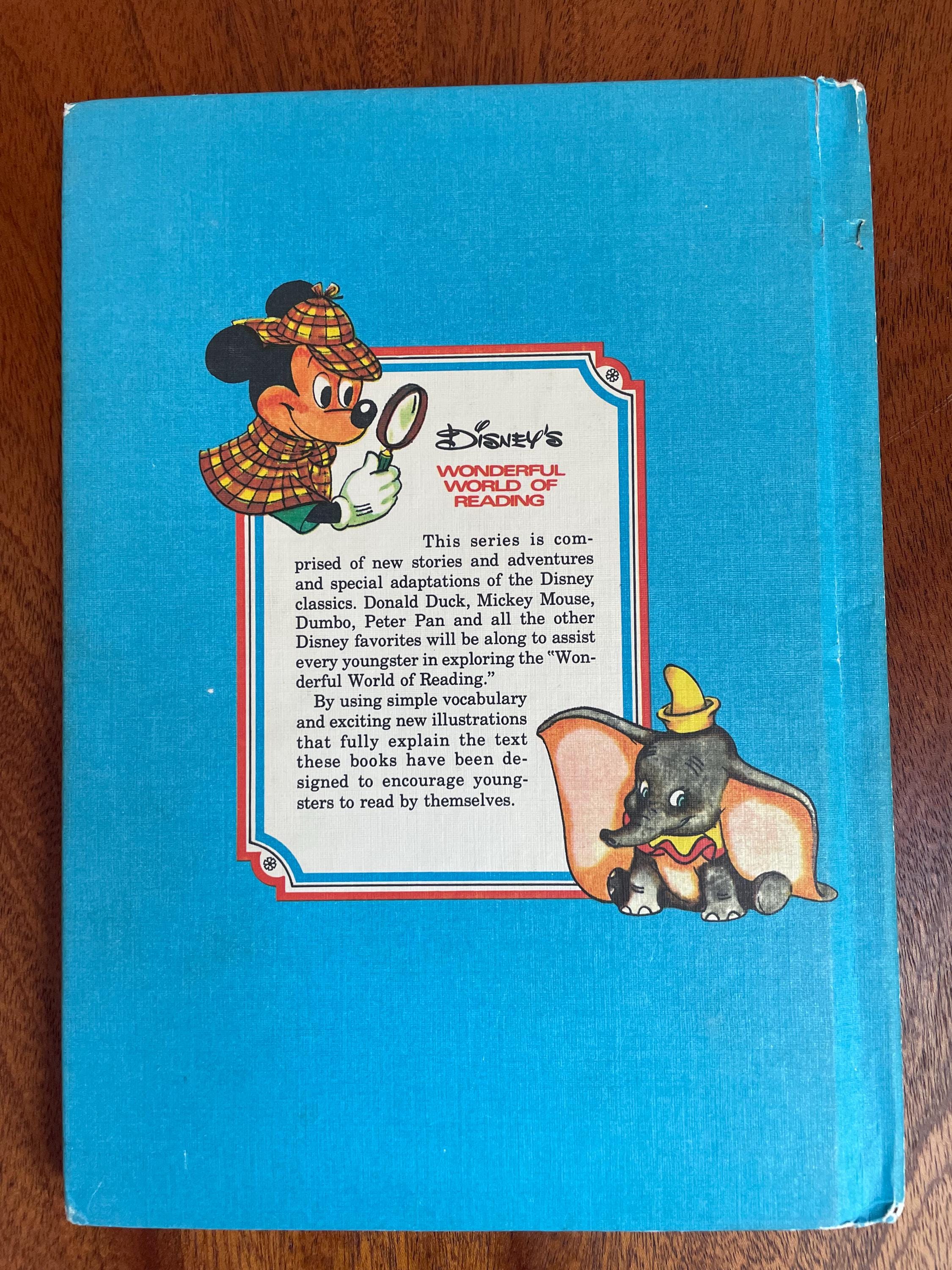 Wonderful World of Reading Walt Disney Books // Larger Sized