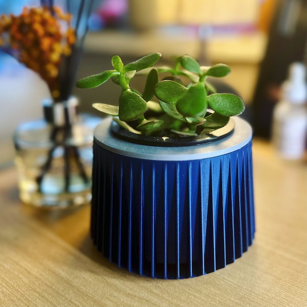 3”x4” Mini Hydroponic Planter | Eco Friendly Mother’s Day Gift