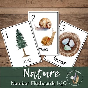 Tarjetas didácticas con números del 1 al 20 con temática de la naturaleza, imprimibles Montessori para educación en el hogar, aprendizaje temprano, reconocimiento de números, tarjetas didácticas para niños en edad preescolar