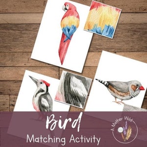 Bird Pattern Matching Activity, Toddler Preschool Nature Study, Kindergarten Science, Montessori Homeschool Learning, Printable Pattern Game