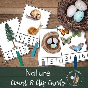 Nature Themed Count and Clip Cards, Numbers 1-20, Homeschool Montessori Math, Kindergarten Printable, Preschool Toddler Number Learning