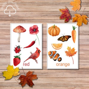 Tarjetas de colores de la naturaleza, preescolar Montessori imprimible, estudio de la naturaleza en la escuela en el hogar, tarjetas didácticas de colores con temas de la naturaleza, aprendizaje del color para niños pequeños
