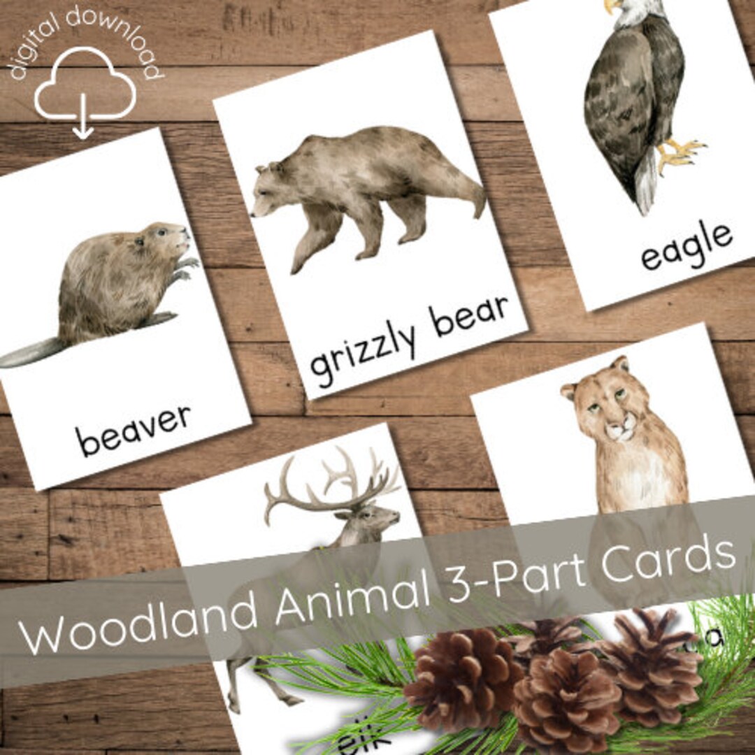 Woodland Animal Nomenclature Cards, Preschool Toddler 3part Cards