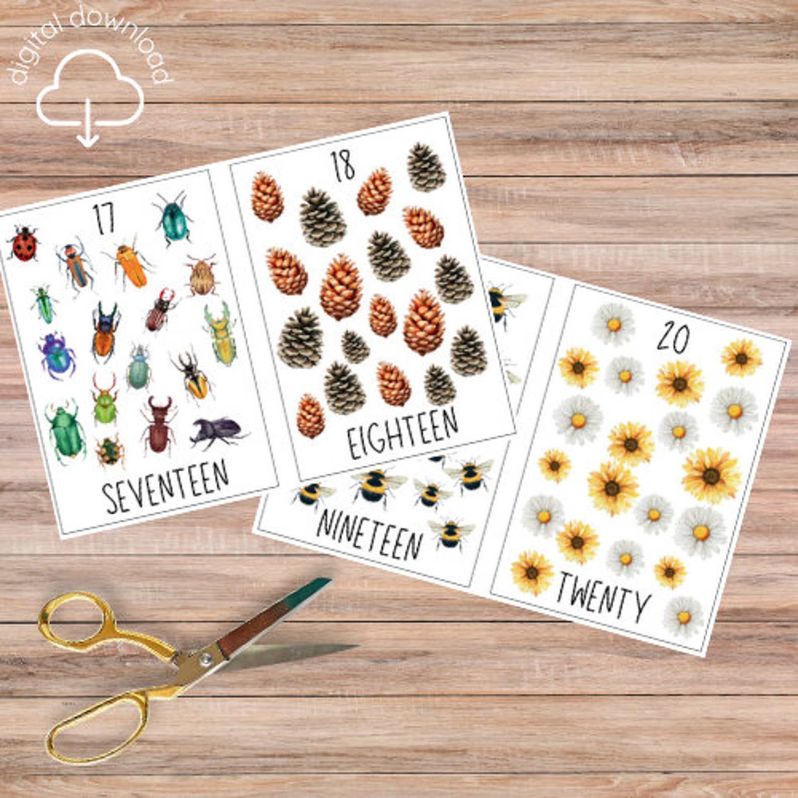 Nature Themed Number Flashcards 120, Homeschool Montessori Printable