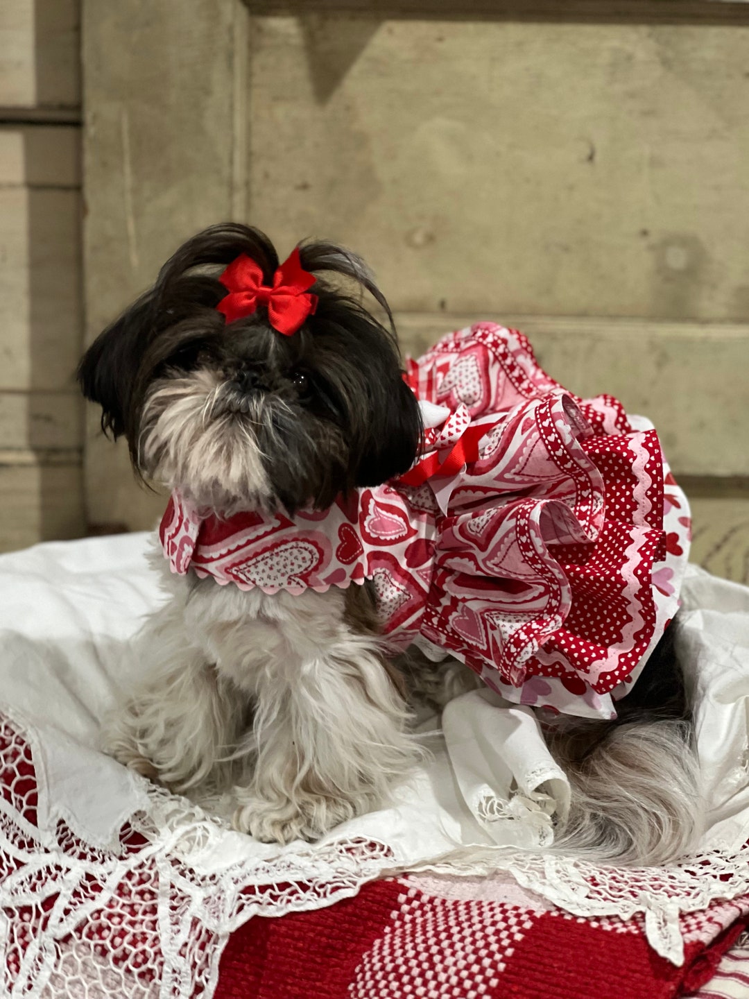 Puff Heart Babydog Dress