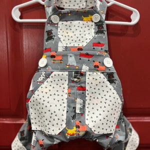 Pups On Skateboards Overalls