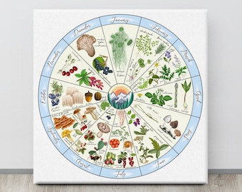 Foraging Plant Calendar Wheel Canvas - Wild Edible Plants Guide | Sboccio Designs