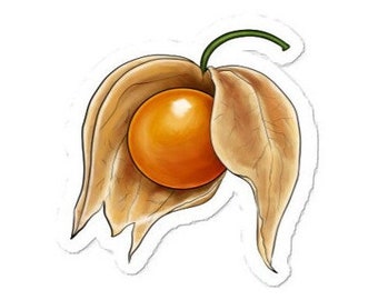 Cute Ground Cherry Illustration Bubble-Free Vinyl Sticker | Botanical Plant Art Decal | Plant Collection Decor | Sboccio Designs