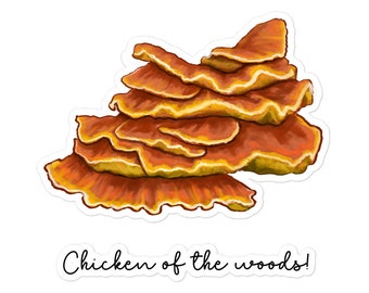 Chicken of the Woods Mushroom Vinyl Sticker Bubble-Free | Fungi Art Illustration Decals | Sboccio Designs