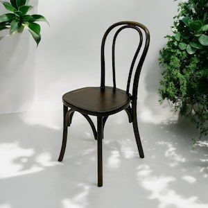 May include: A dark brown wooden chair with a curved back and a slightly rounded seat. The chair has a simple design and is made of sturdy wood.