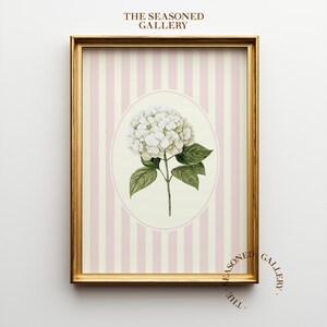 May include: A framed print featuring a white hydrangea flower with green leaves, set against a background of pink and white vertical stripes. The print is in a gold frame, with the text "THE SEASONED GALLERY" at the top and bottom.