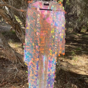 Puede incluir: Una prenda larga y transparente adornada con numerosas lentejuelas circulares iridiscentes de colores brillantes. Cuelga de una percha negra sobre un fondo natural de ramas y follaje. Las lentejuelas crean un efecto brillante.