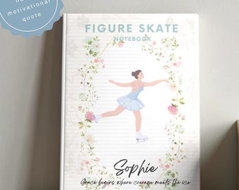 Broches A Glace Express De Black Diamond