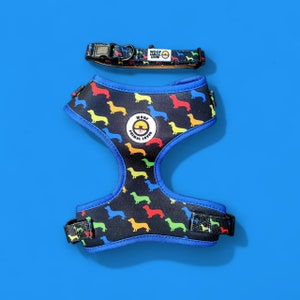 May include: A black dog harness with a colorful dachshund print and blue trim. The harness has a matching blue collar with the text "Woof Animal Lover" in white.
