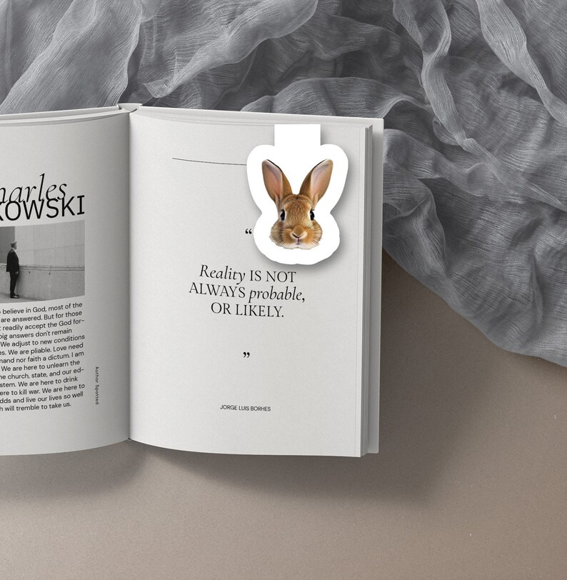May include: A white bookmark with a brown rabbit illustration. The bookmark is placed on an open book with the text "Reality is not always probable, or likely." and the author "JORGE LUIS BORHES".