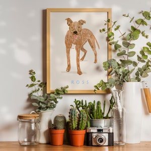 May include: A framed illustration of a brown dog named "ROSS" with a white background. The frame is on a shelf with potted plants, a glass jar, a white pitcher, a glass bottle, and a vintage camera.