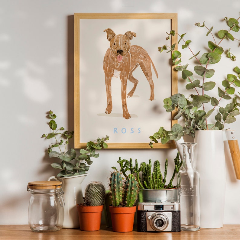May include: A framed illustration of a brown dog named "ROSS" with a white background. The frame is on a shelf with potted plants, a glass jar, a white pitcher, a glass bottle, and a vintage camera.