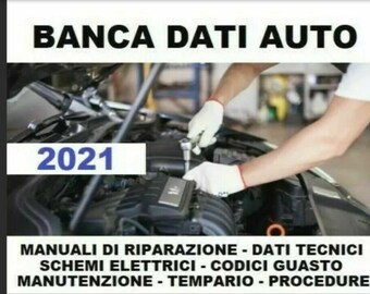 BANCA DATI AUTO 2021 Manuale banca dati