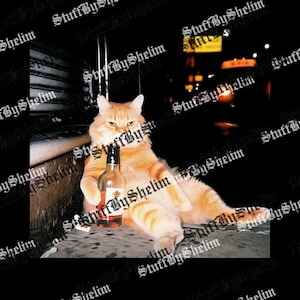 以下が含まれることがあります： お酒のボトルを持った、座っているオレンジ色の猫のユーモラスな画像。猫は真剣な表情をしています。背景は暗く、ぼやけた街の明かりがあります。画像には「StuffByShelim」のテキストが繰り返しのパターンで表示されています。
