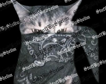 Vintage verrückte Katze SVG, Katze mit Maske Sublimation, süße Katze PNG, Meme Katze zwar, 90er Jahre Stil Png, Geschenk für Katzenliebhaber, Gen Z PNG, Dummes Geschenk