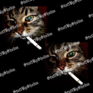 cigarette dangling When he wasn't acting or racing cars, Jimmy liked to practice magic tricks.  A smoker, who was often photographed with a cigarette dangling from his  mouth, Jimmy put a magical twist on