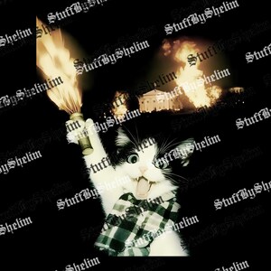 Op de afbeelding: Digitaal bewerkte afbeelding van een zwart-witte kat met een geruit overhemd, die een brandende fakkel vasthoudt. Op de achtergrond een brandend gebouw. De tekst "StuffByShelim" staat herhaaldelijk op de afbeelding.