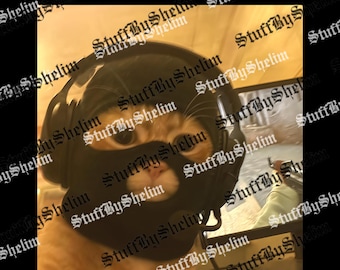 Funny Thief Cat Meme SVG, Cat Wearing Mask PNG, Gen Z Joke Sublimation, Stupid Brainrot Gift, Funny Kitty Digital, Cool Cat SVG