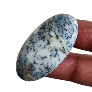Könnte beinhalten: Ein ovaler Cabochon in Weiß und Grau mit schwarzen dendritischen Einschlüssen. Der Cabochon ist glatt und poliert.