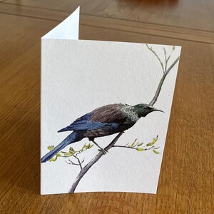 Tarjetas de felicitación y sobres de arte original de pájaros de Nueva Zelanda