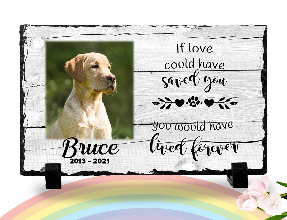 Personalized Dog Photo Acrylic Plaque - Memorial Gift For Dog Owners - Don't Cry For Me Mom