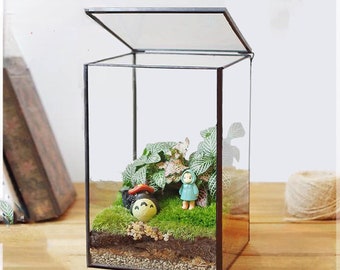 Vertex ZERO (S) Terrario rectangular con micropaisaje de musgo, invernadero de cristal con puerta abatible, ideal para exhibiciones de suculentas y musgo