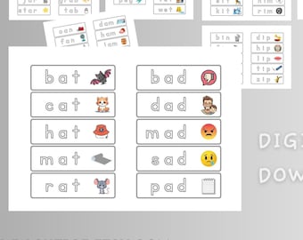 CVC Ordfamilj Flashcards: Fonikbildkort (digital nedladdning)