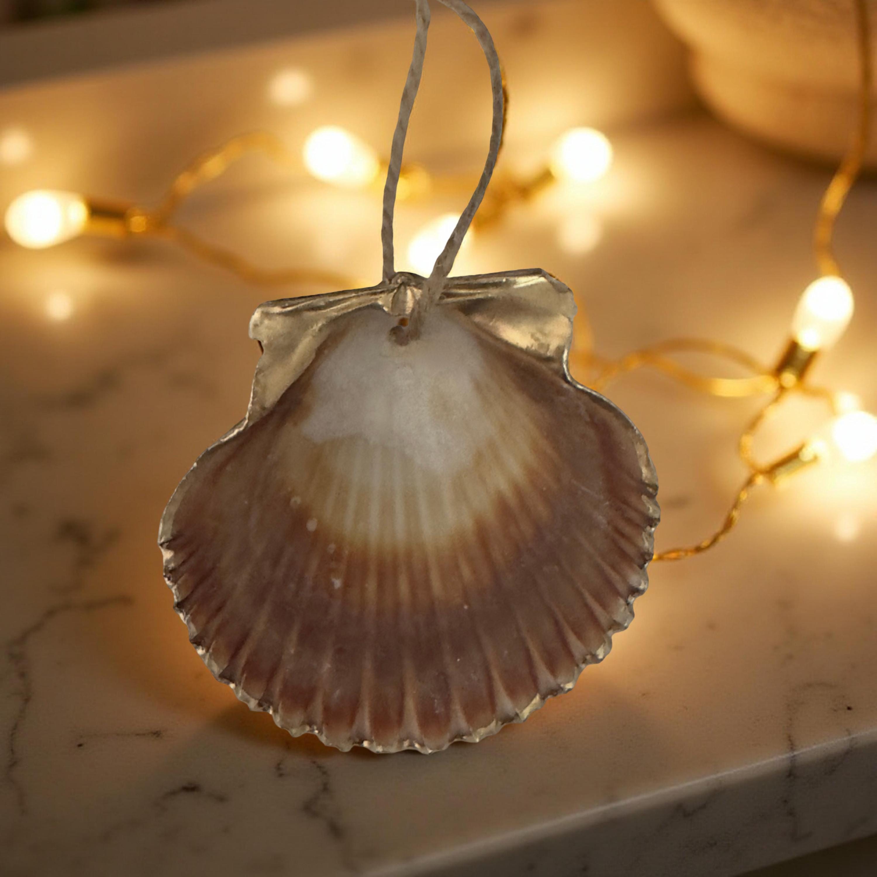 Natural Scallop Shell Ornament – Jute Hanger - Thumbnail 4