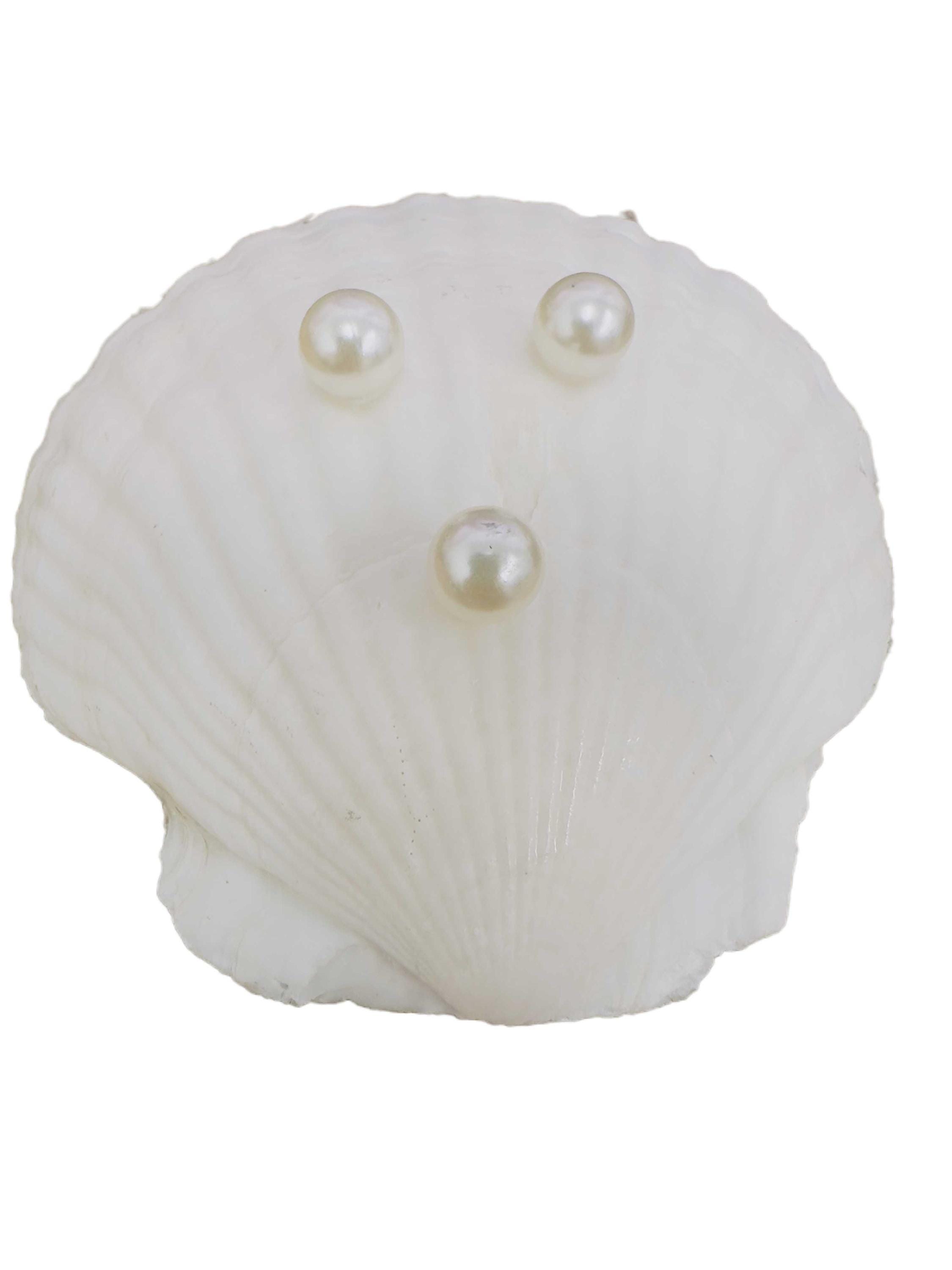 Scallop Shell Soap Dish: Gold Gilded Fish Decoupage - Thumbnail 2