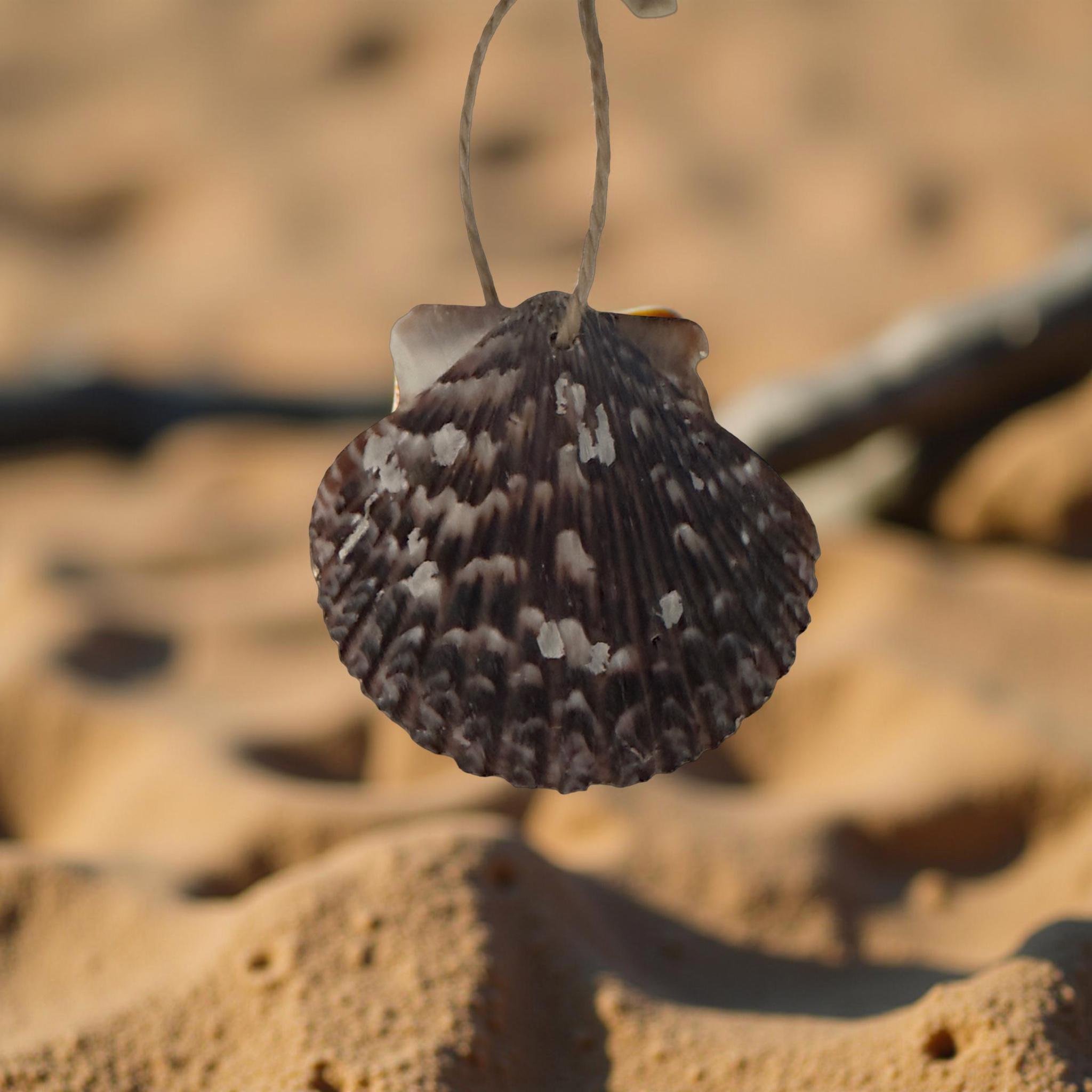 Natural Scallop Shell Ornament – Jute Hanger - Thumbnail 6