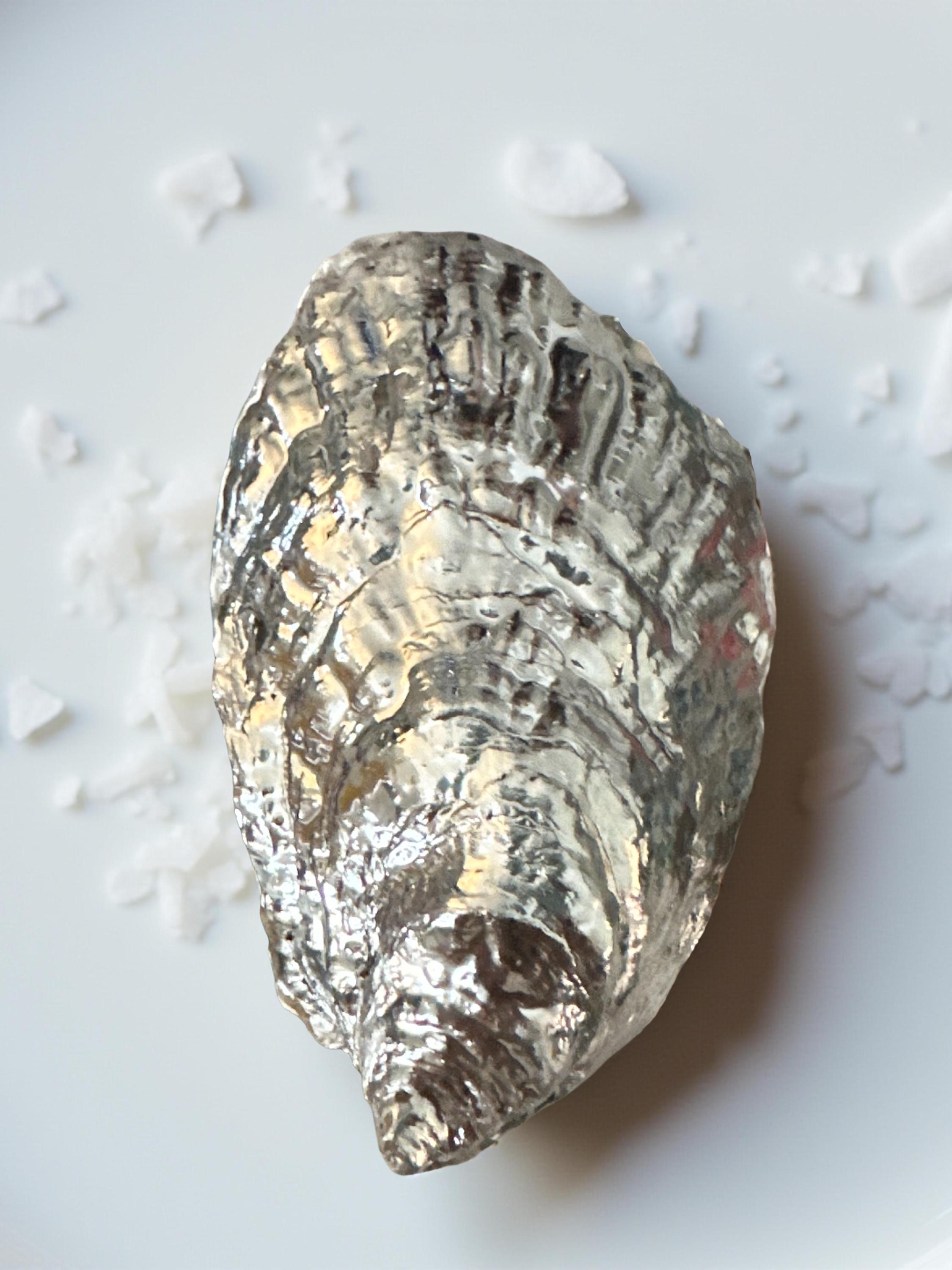 Snowflake Oyster Shell Ornament- Silver - Thumbnail 3