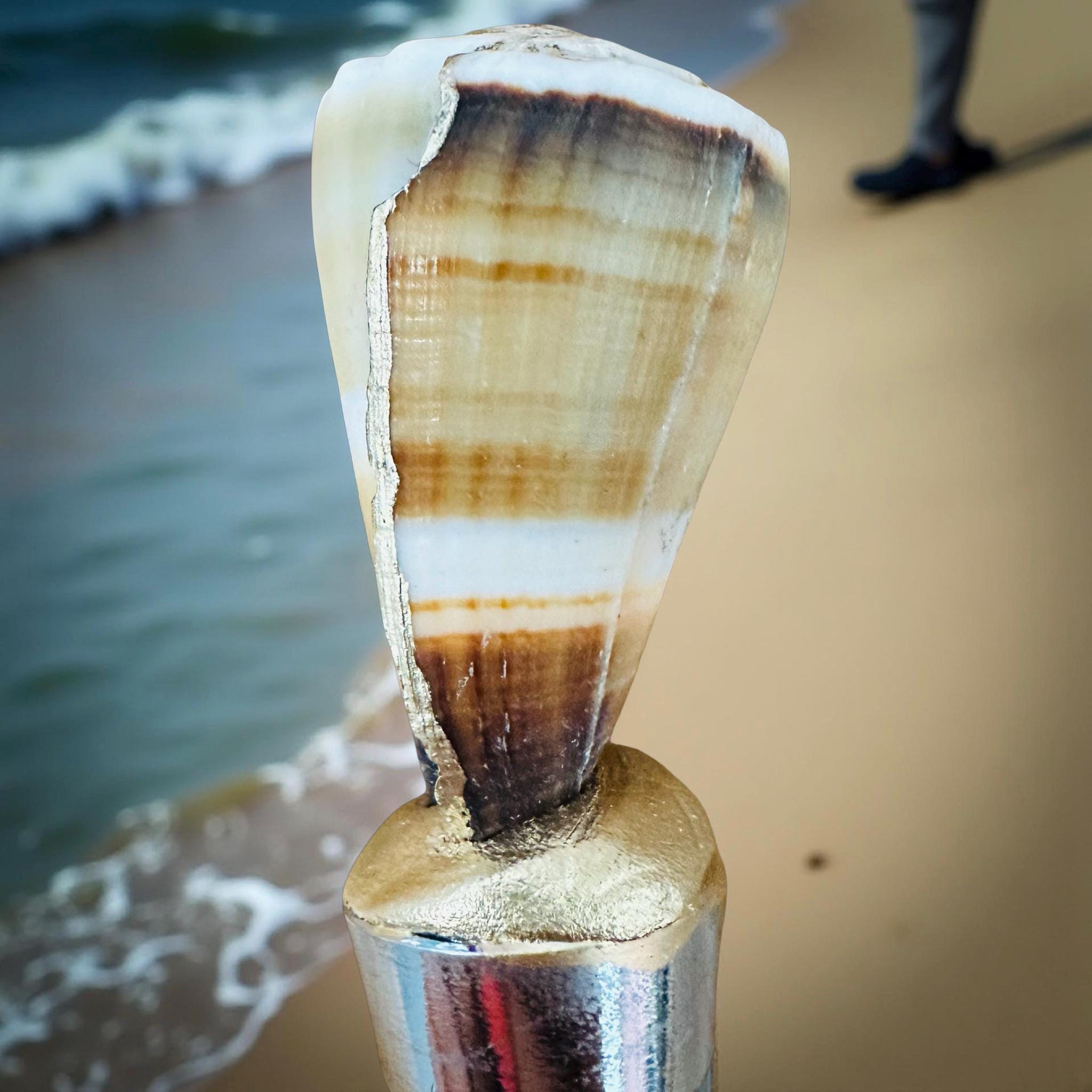 Striped Cone Shell Wine Stopper – Gold Base - Thumbnail 2