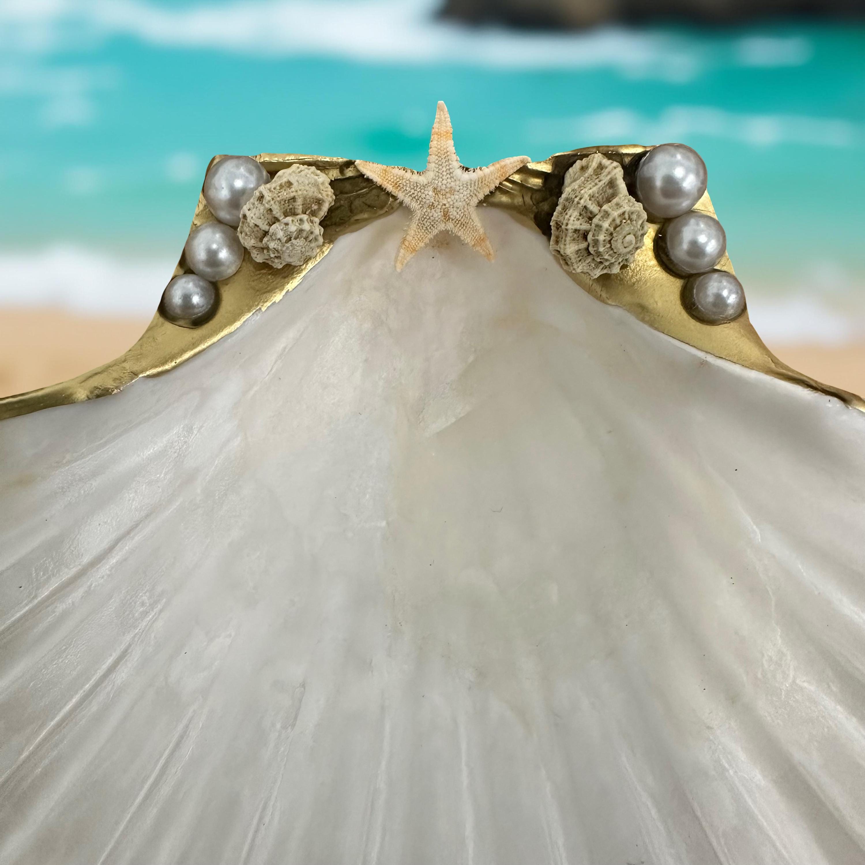 Pearl Star Scallop Shell Trinket Dish – Gold Rim