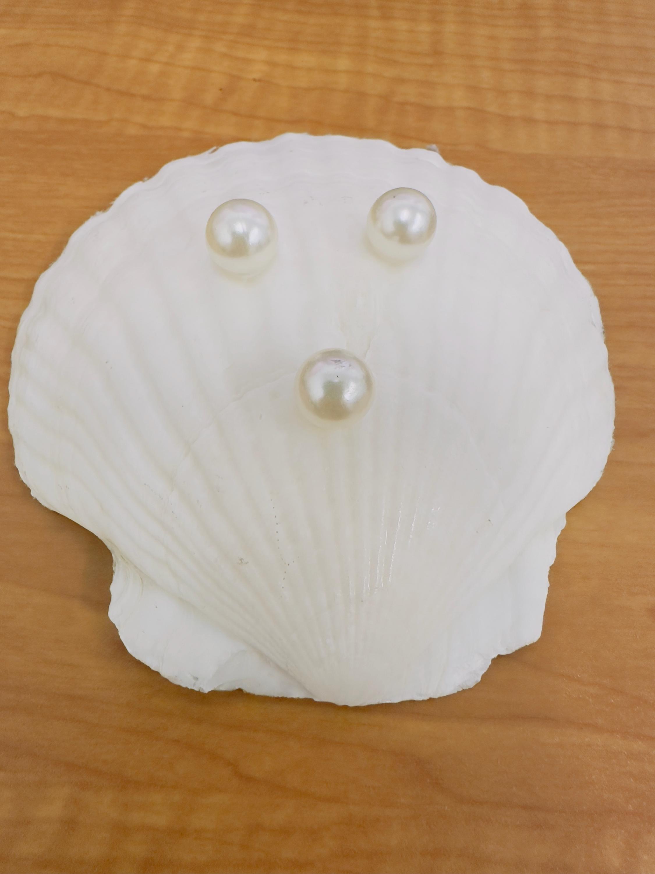 Nautical Anchor Scallop Shell Trinket Dish: Gold Rim Coastal Decor - Thumbnail 2